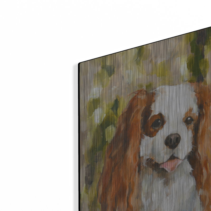 «Cavalier King Charles» par Solveiga, H 24 po x l 16 po