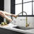 FLG Pull Down Kitchen Faucet