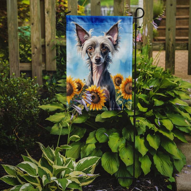 Lévrier irlandais dans le drapeau du jardin de tournesols, Chien chinois à crête