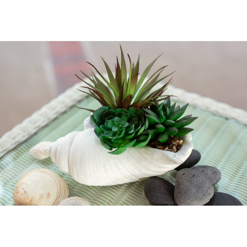 6.5'' Faux Succulent Plant in Cement Planter