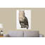 Cardinal par Ed Capeau - Peinture sur toile-58824858-58824867-58824869