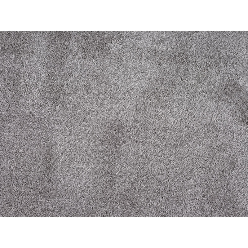 Taeler Washable Modern Living Room Rug Polyester Plain Indoor Area Rug with Low Pile - Anti-Slip Felt Backing SuperSoft Carpet Bedroom-Hallway, Dark Grey