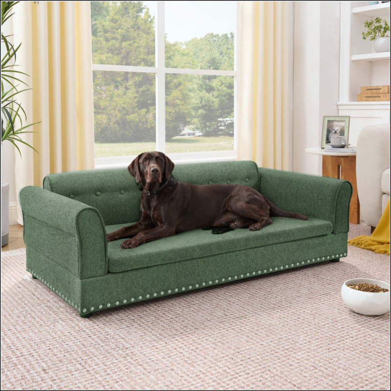 Canapé pour animal de compagnie, élégant canapé-lit surélevé en tissu de lin moderne, lit pour animal de compagnie rectangulaire confortable avec dossier et accoudoirs