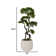 Artificial Bonsai Tree In A Shell Designed Fiberstone Planter