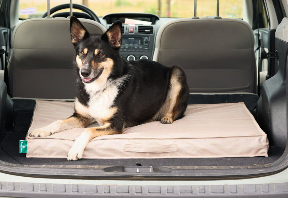 Waterproof Comfort for Any Terrain