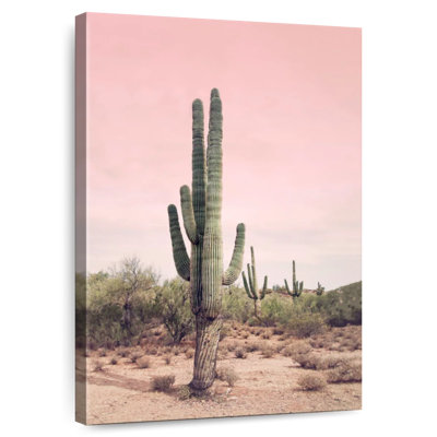 Harnek désert cactus rosé