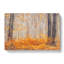 Orange Forest - Wrapped Canvas Print-55311419