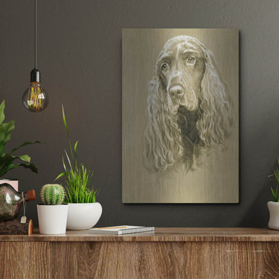 " Field Spaniel " by Barbara Keith