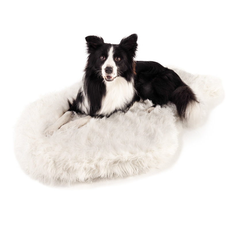 Medium Polar White Faux Fur Orthopedic Dog Bed