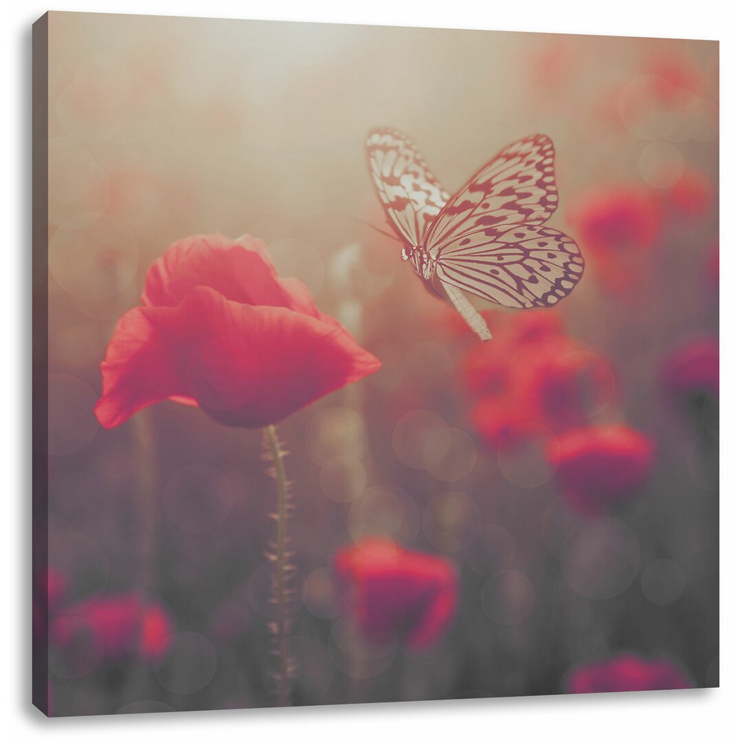 Leinwandbild Mohn und Schmetterling