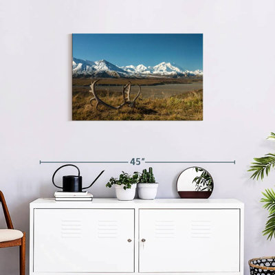 Alvord Denali Caribou Antlers