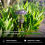 Solar Powered Integrated LED Pathway Light-99316069