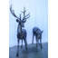 Statues en bronze grandeur nature d'une paire de cerfs, collection Nifao, 58 po x 18 po x H 58 po
