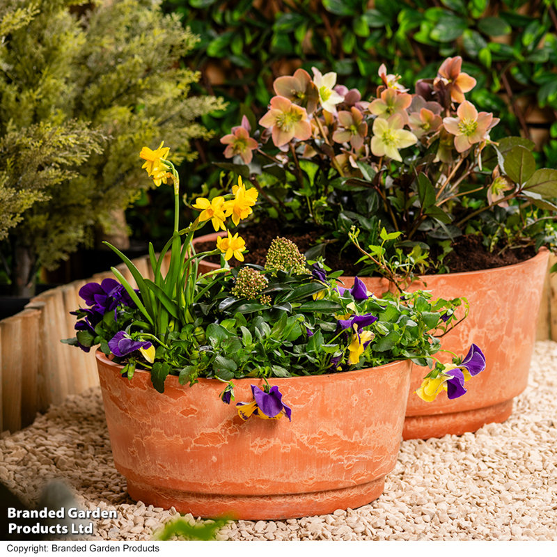 Pot Planter, Orange