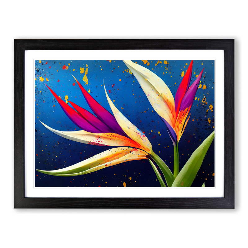 Bird Of Paradise Flower Splash Vol.5 - Single Picture Frame Print, 46cm H x 64cm W x 2cm D, Black
