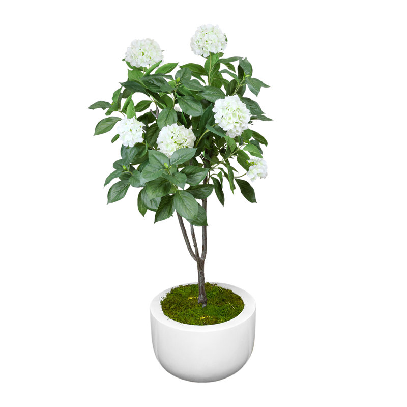 Hydrangea Tree in Round Fiberstone Planter
