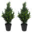 Faux Topiary in Pot Liner-93622444