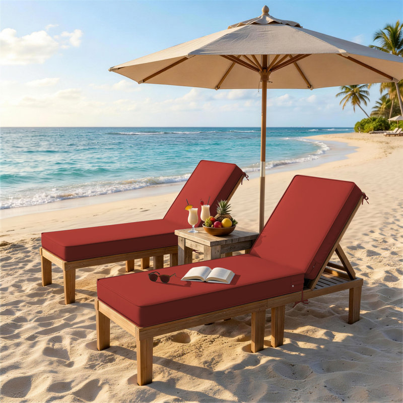 Coussin de chaise longue d'extérieur Wynee, L 25,8 po x P 79,75 po, Rouge Terra