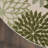 Aril Floral Indoor/Outdoor Area Rug-1810209747