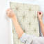 Rouleau de papier peint L 27 pi x l 27 po Accomac Evening Star-1107828434