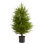 Arbre de Noël artificiel pin vert 2 pi