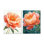 «Vibrant Coral Peony Reverie I», ensemble de 2 impressions murales en métal coquelicot orange