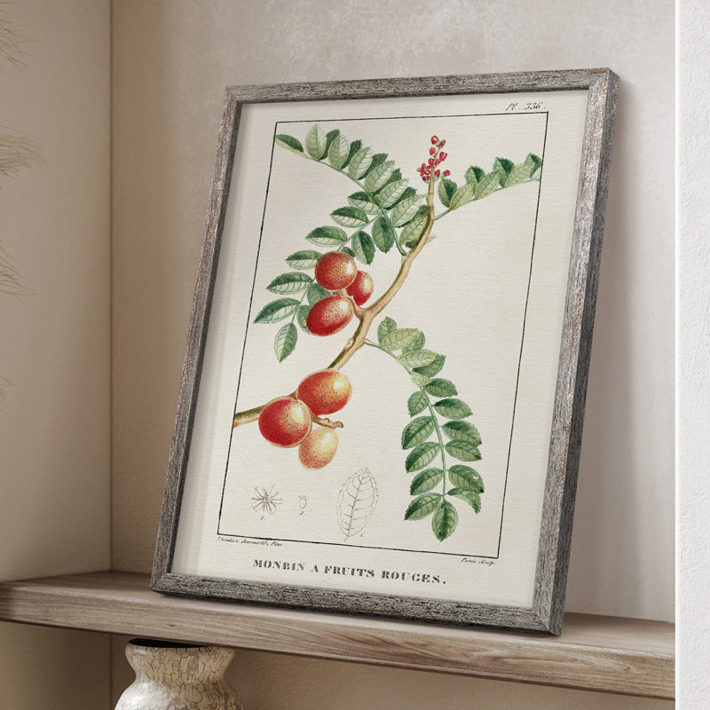 Reproduction encadrée Turpin Tropical Botanicals III - bois massif, H 30 po x l 24 po