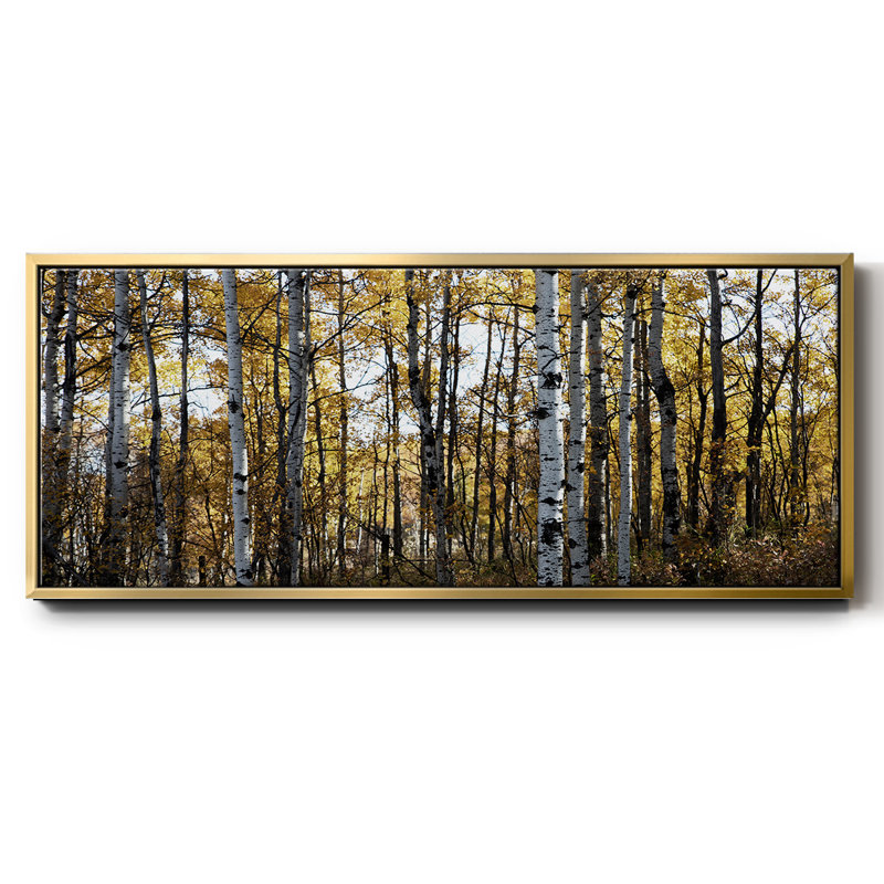 Sunny Grove - toile encadrée, H 20 po x l 50 po