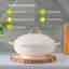 40ml Food Storage Container-70919864
