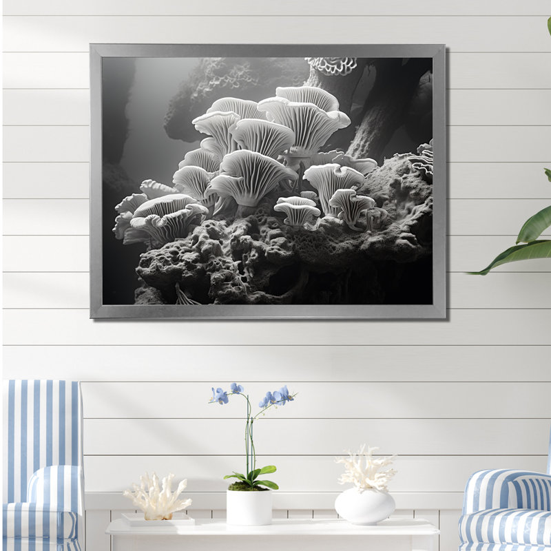 Anémone noire et blanche I sur toile, H 30 po x l 40 po x P 1,5 po, Cadre photo argenté