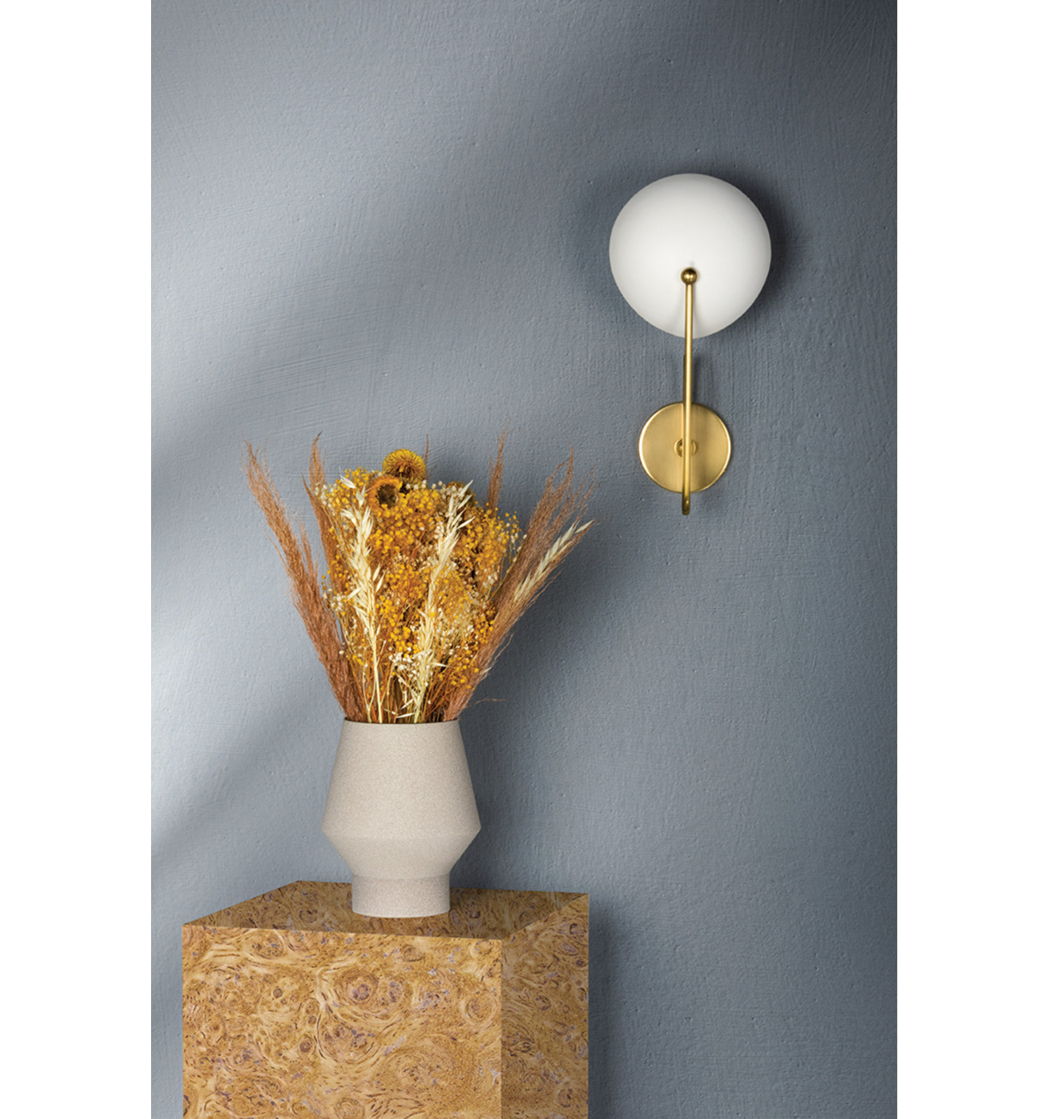 Single Light Spotlight Sconce