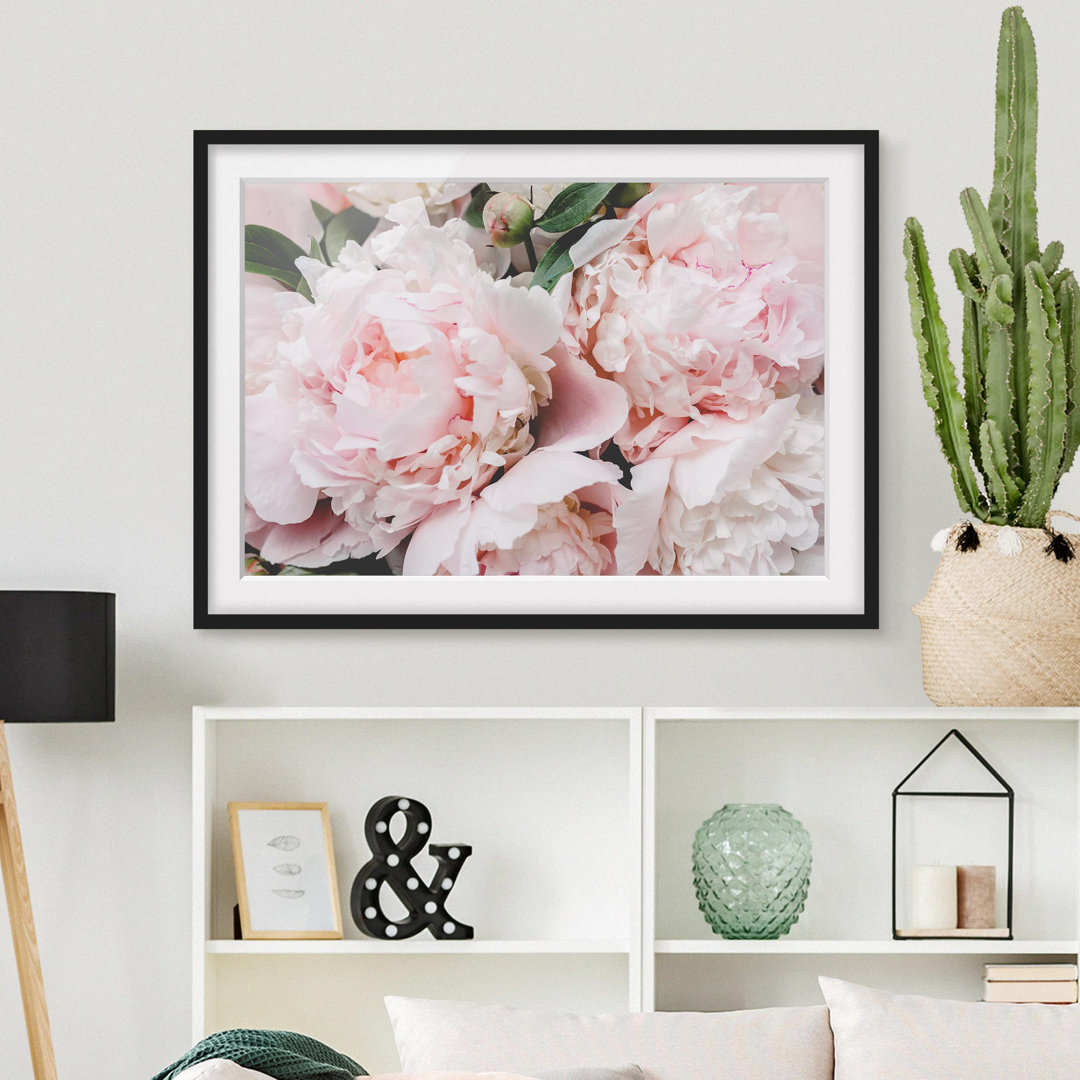 Gerahmtes Poster Peonies Light Pink