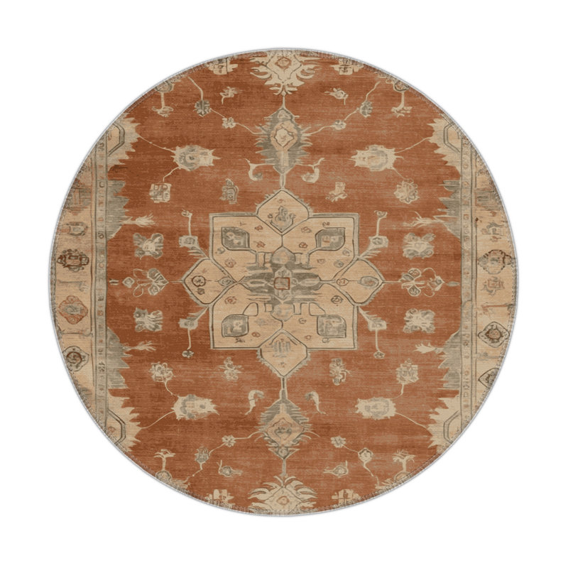 Tapis intérieur et extérieur brun Overdyed, Rond 5 pi
