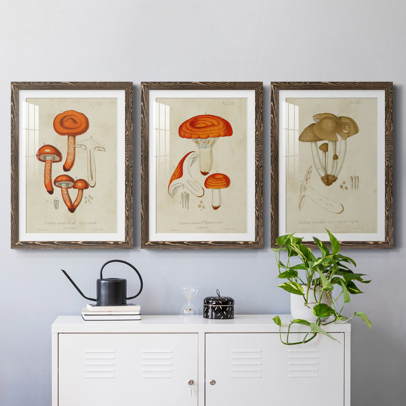 Champignon Variétés IV encadré mat - prêt à accrocher, H 31,5 po x l 47 po x P 1,5 po, Noyer