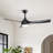 Nicola 52" 3-Blade Standard Ceiling Fan With Remote and Led Light-1631905421