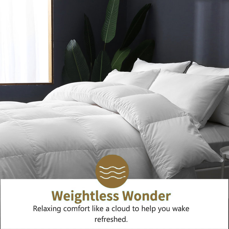 Insert de couette en duvet toutes saisons de qualité supérieure avec housse en mélange de coton, simple, Simple