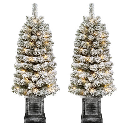 Potted Flocked 3.5' Pre-Lit Spruce Christmas Tree