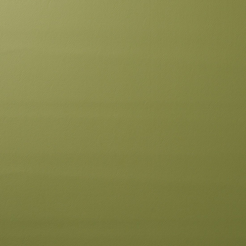 Vegan Leather Indoor/Outdoor Fabric, Moss