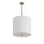 4 - Light Pendant