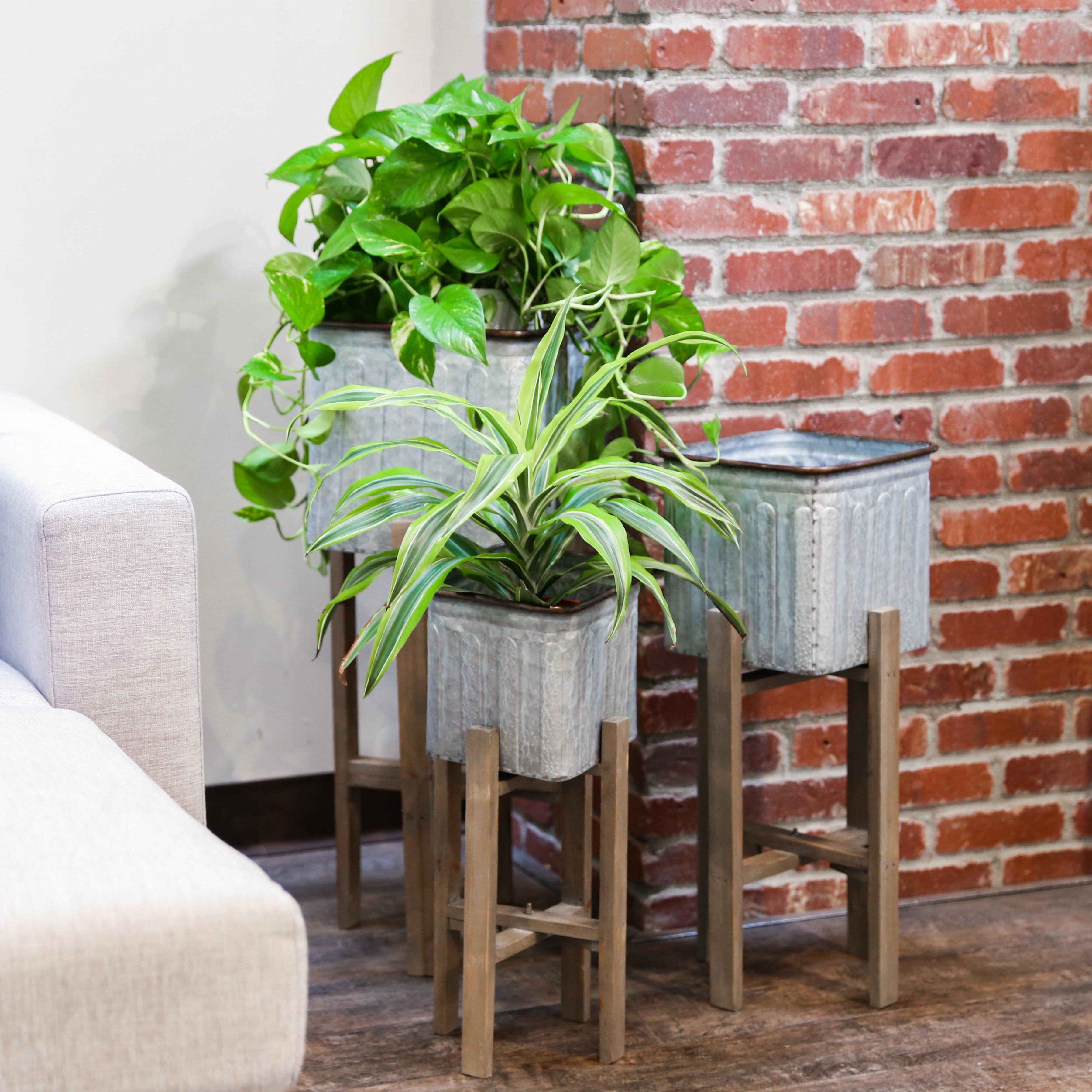 Gracie Oaks Rosio Metal Elevated Planter | Wayfair