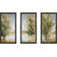 Waterway Grove par Carol Robinson - reproduction de cadre photo simple de 3 pièces-1555490492