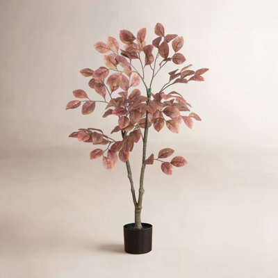 42" Dogwood Tree in Nursery Pot