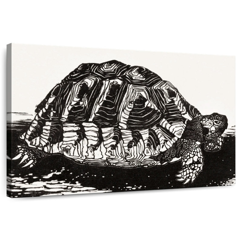 Brampt The Turtle, 26" H x 39" W
