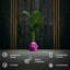 Handmade Pot Planter-52454980