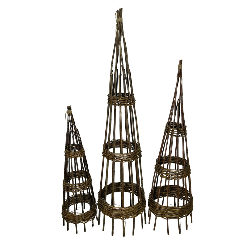 Treillis conique S / 3 Willow
