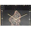 Anvita Wall Clock