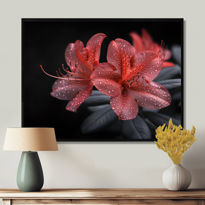 Rose, noir, rhododendron, fleur de minuit I - salon d'art mural rhododendron, Cadre flottant noir, 34" H x 44" W