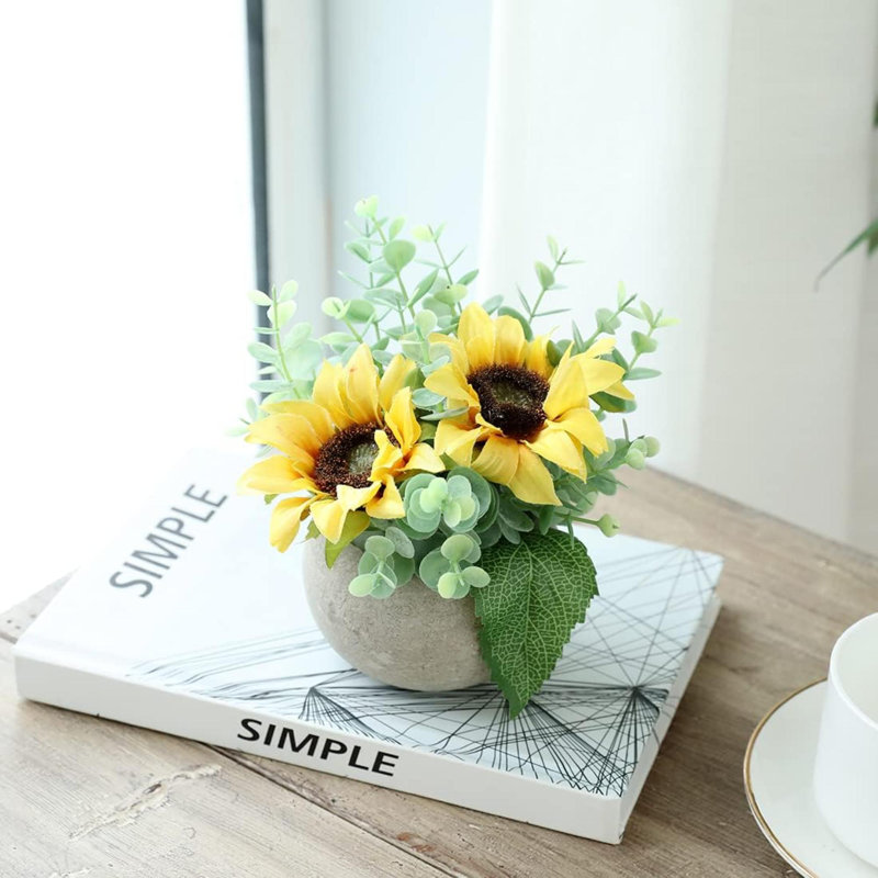 6 plantes