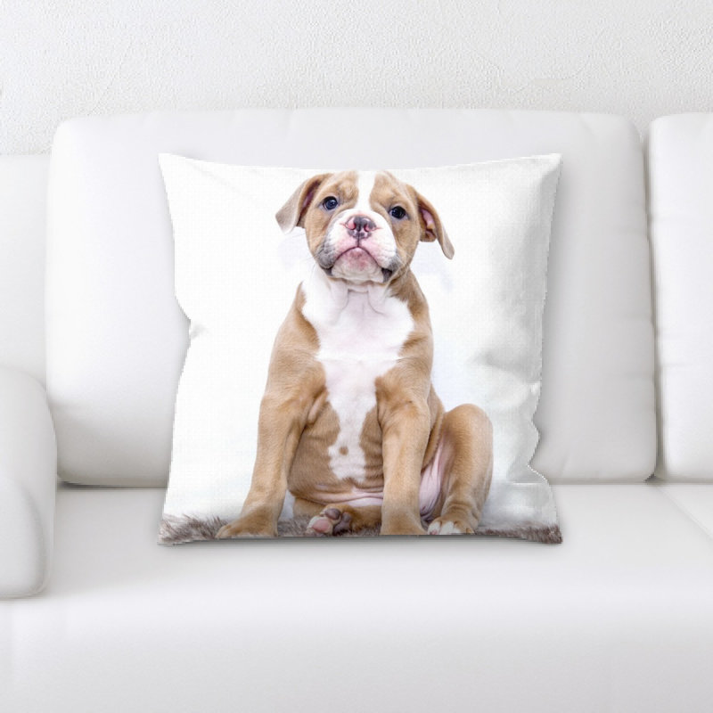 Coussin chiot