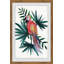 Red Parrot - Single Picture Frame Painting-580239305